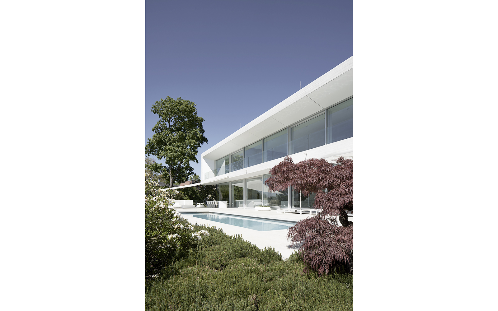 Beer Bembé Dellinger